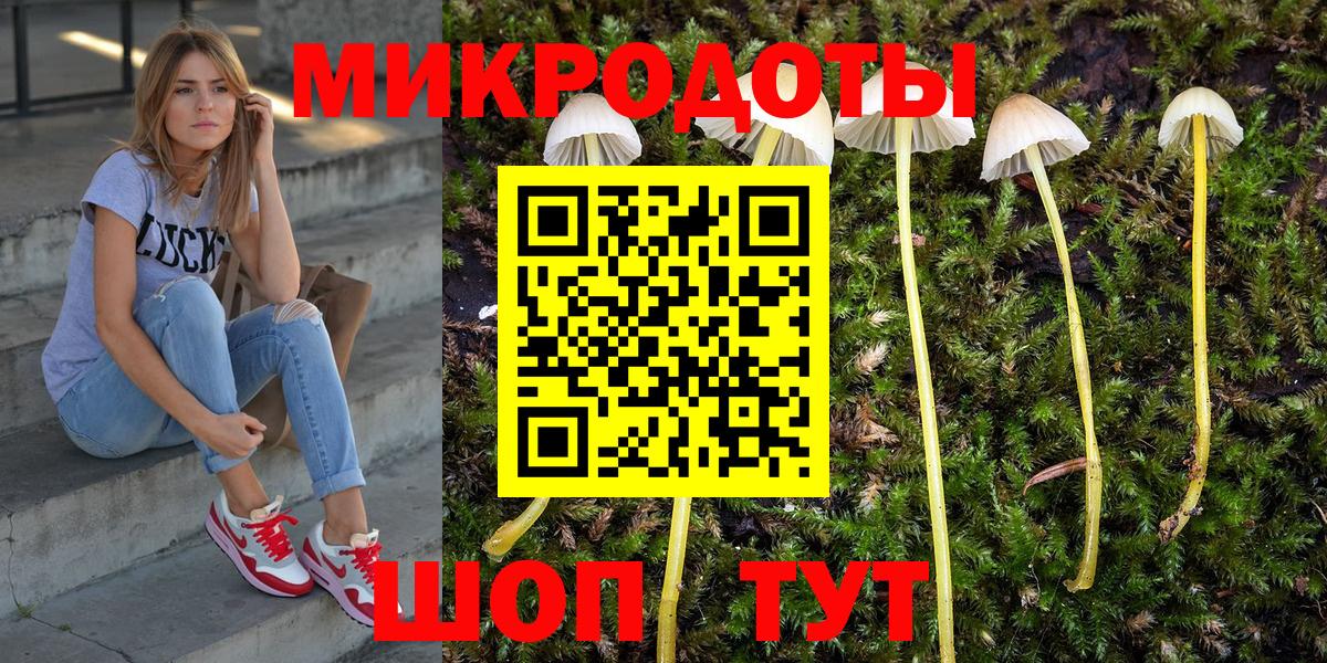 Псилоцибиновые грибы Cubensis Лиски