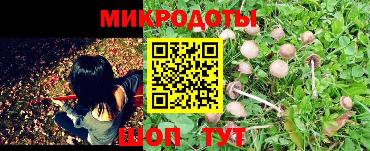 закладки  Вход с VPN  Лиски  Галлюциногенные грибы мицелий 